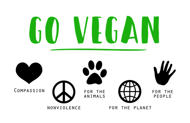 veganství.png